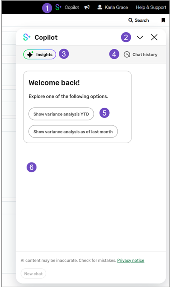 Zeigt das Copilot-Bedienfeld mit Beschriftungen für Elemente der Benutzer-Oberfläche an.