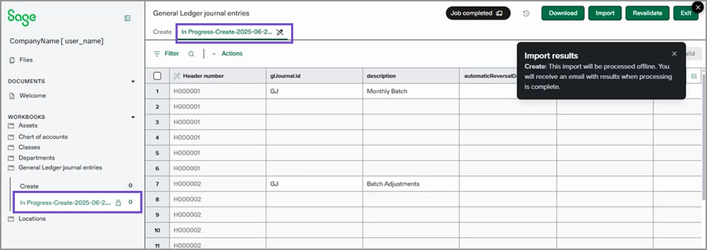 Tabs in Bearbeitung für den Offline-Import.