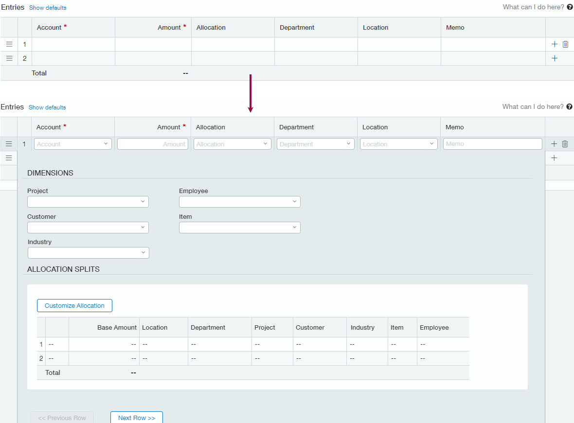 Entries table expanded to show dimension fields and allocation split line-item entries.