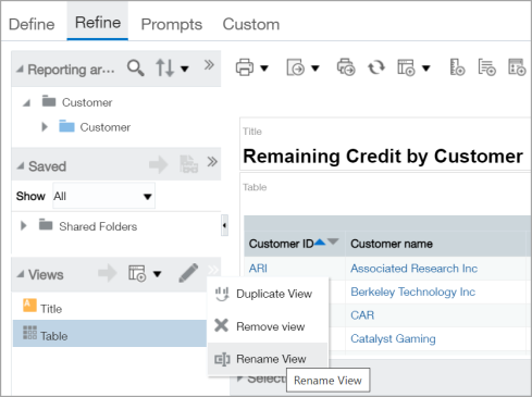 The Show More Options icon in the Views panel heading provides the option to rename a view.