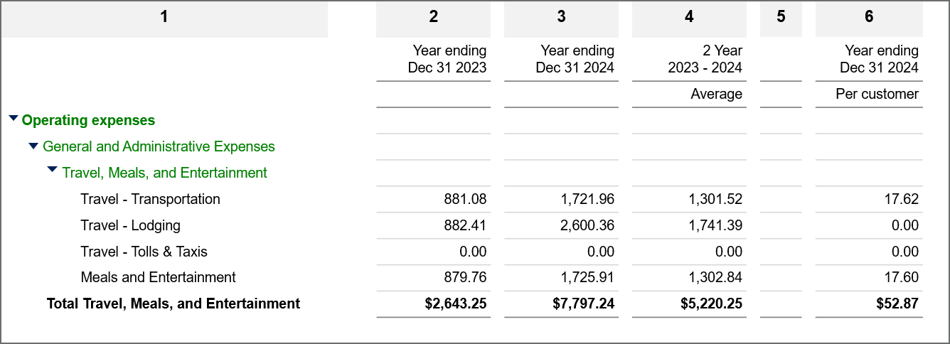 Example of a financial report showing expenses for travel, meals, and entertainment.