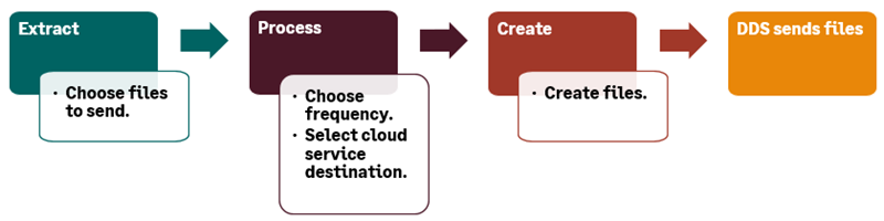 Illustrated steps for setting up a DDS Scheduler automated delivery.