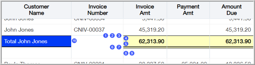 The customized subtotal row of an ICRW report has a custom background color, double lines of different weights beneath fthe subtotal, and additional vertical space beneath as well. These customizations make the subtotal row easier to find and read in a lengthy report. 