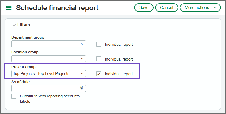 Schedule Financial Report page showing the Filters section with the new Project Group field highlighted.