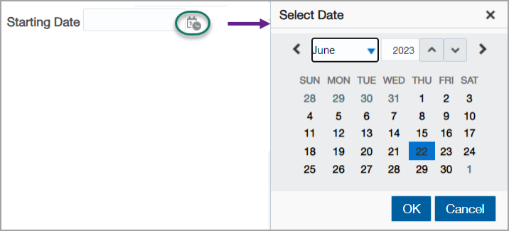 A calendar widget that allows you to select a date for a variable prompt.