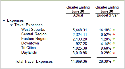 Visual indicators for financial reports