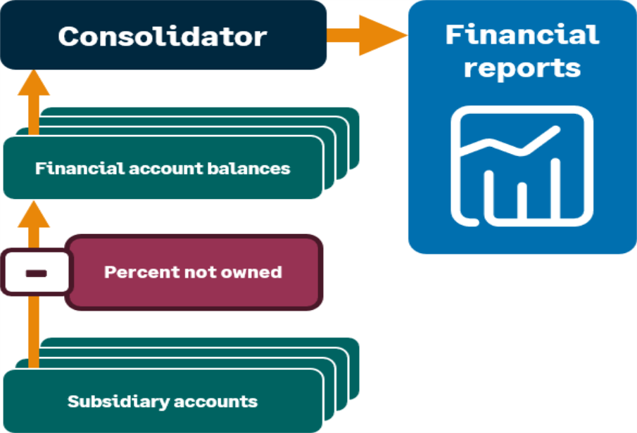 Visión general del proceso de consolidación.