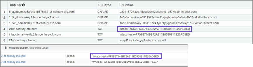 Tableau qui affiche des lignes de clés DNS, de types et de valeurs.