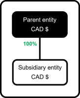 Une entité parente qui détient la totalité d’une entité filiale est consolidée à 100 % à l’aide de la méthode de consolidation complète. Dans cet exemple, les entités mère et filiale utilisent le dollar canadien comme devise de tenue de compte.
